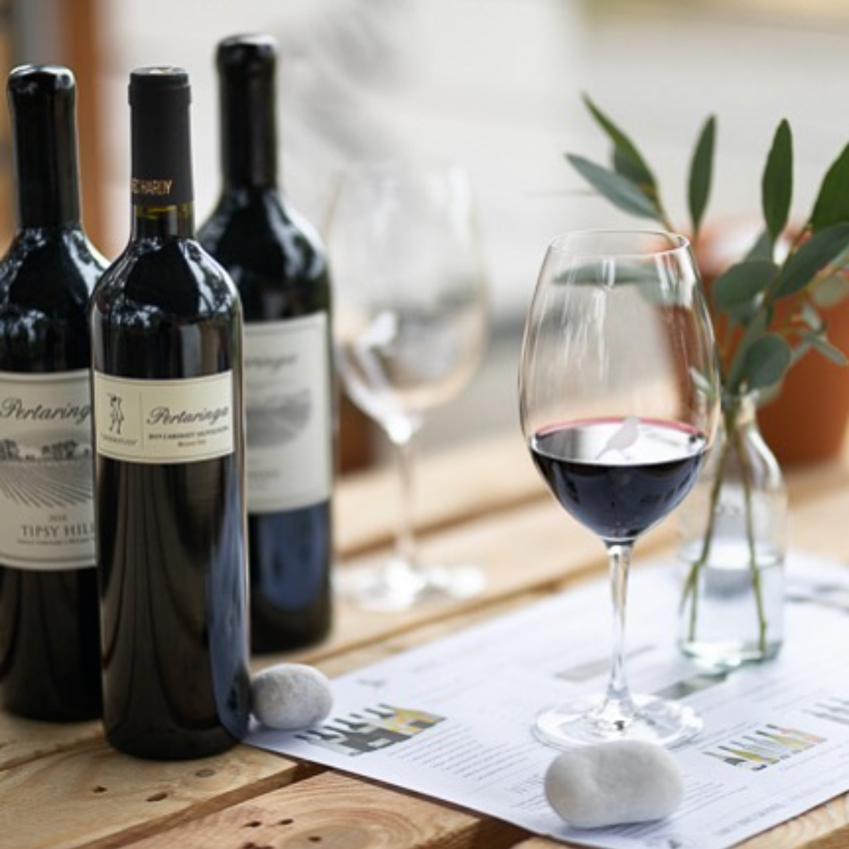 PERTARINGA UNDERSTUDY CABERNET SAUVIGNON 2019 - Zhen Premium Wines